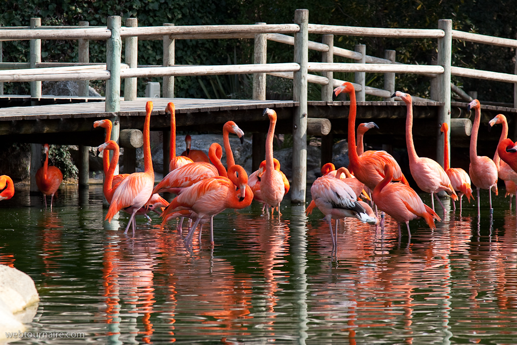 La Palmyre - Charente maritime - 17
