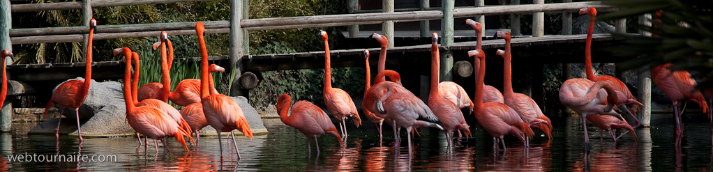 La Palmyre - Charente maritime - 17