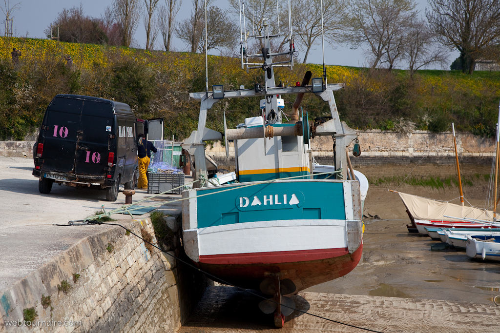 Château d'Oléron - Charente Maritime - 17