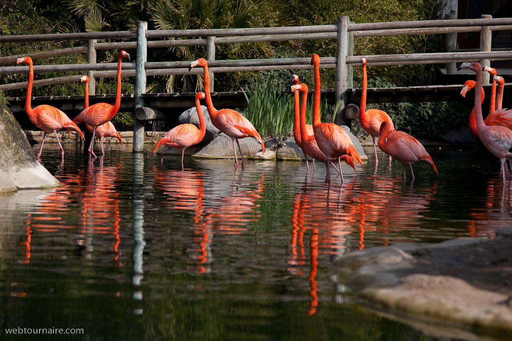 La Palmyre - Charente maritime - 17