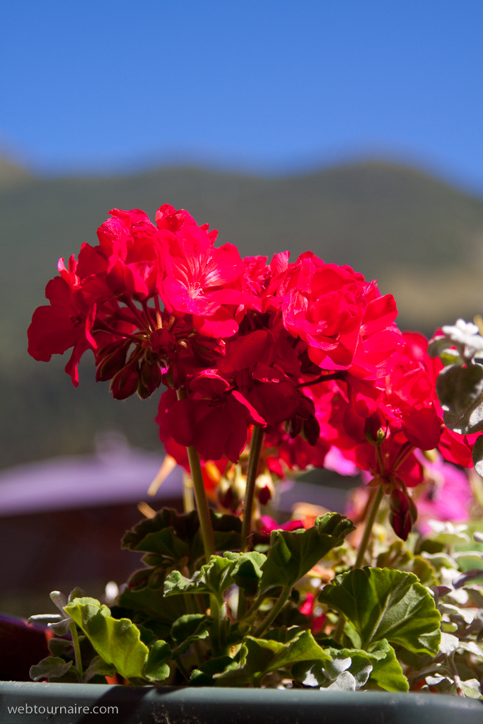Valmorel (Savoie)