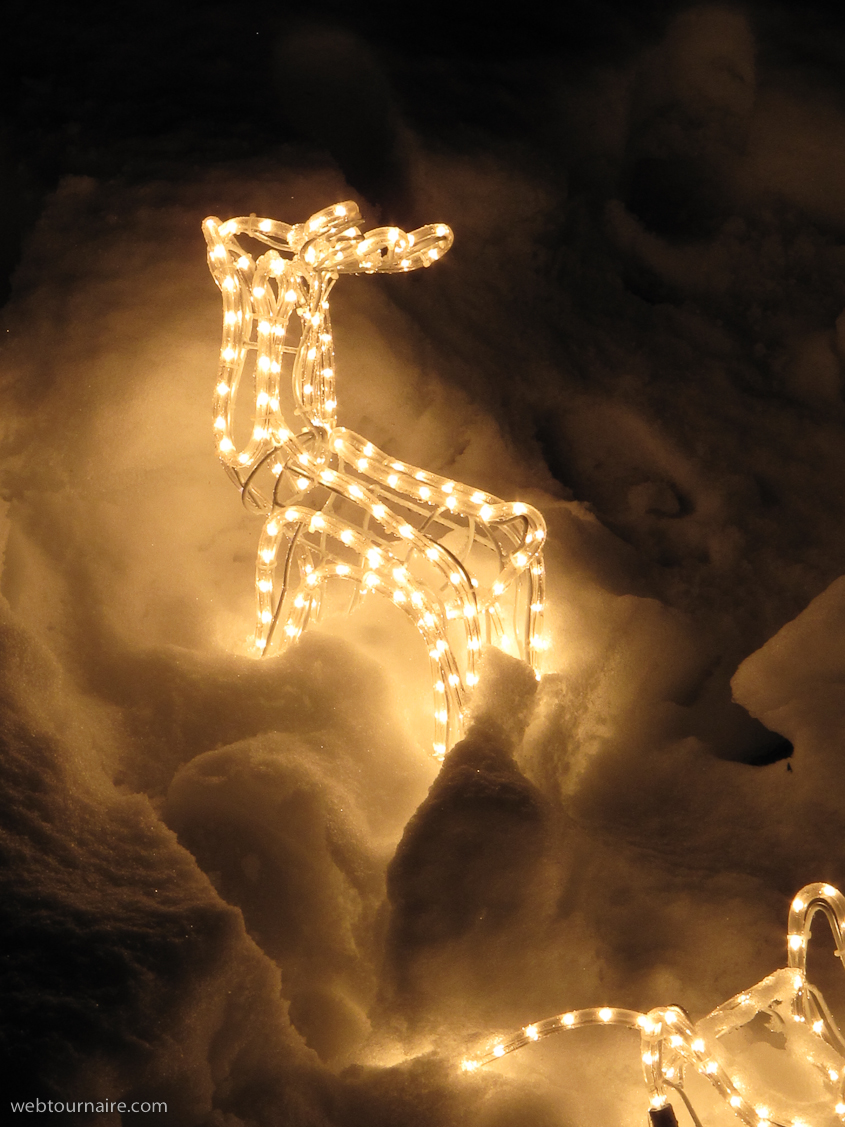 Noel 2009 - Morgins