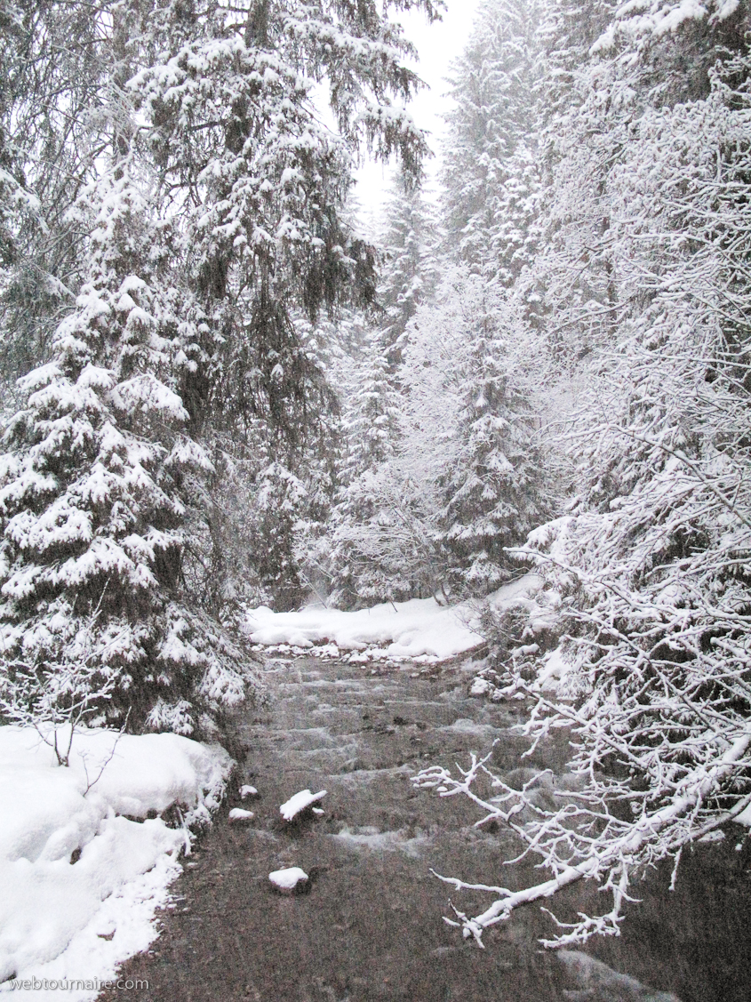 Noel 2009 - Morgins
