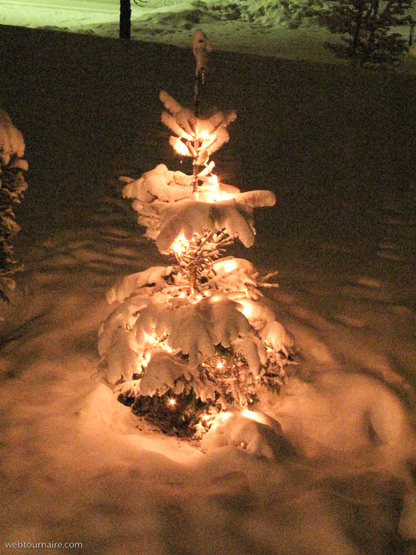 Noel 2009 - Morgins