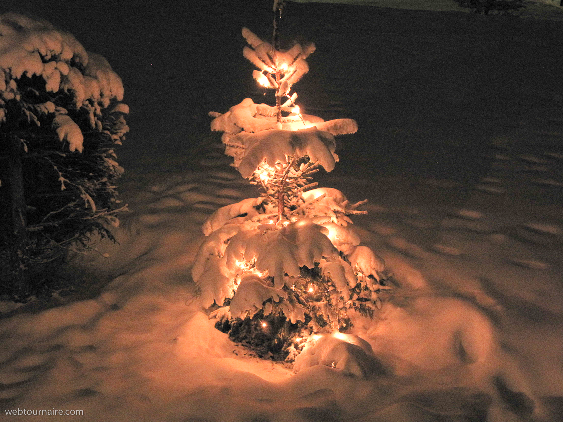 Noel 2009 - Morgins