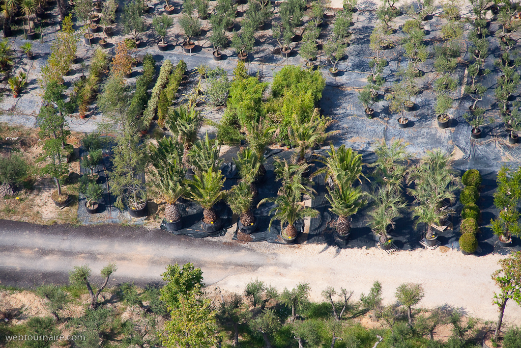 Camargue