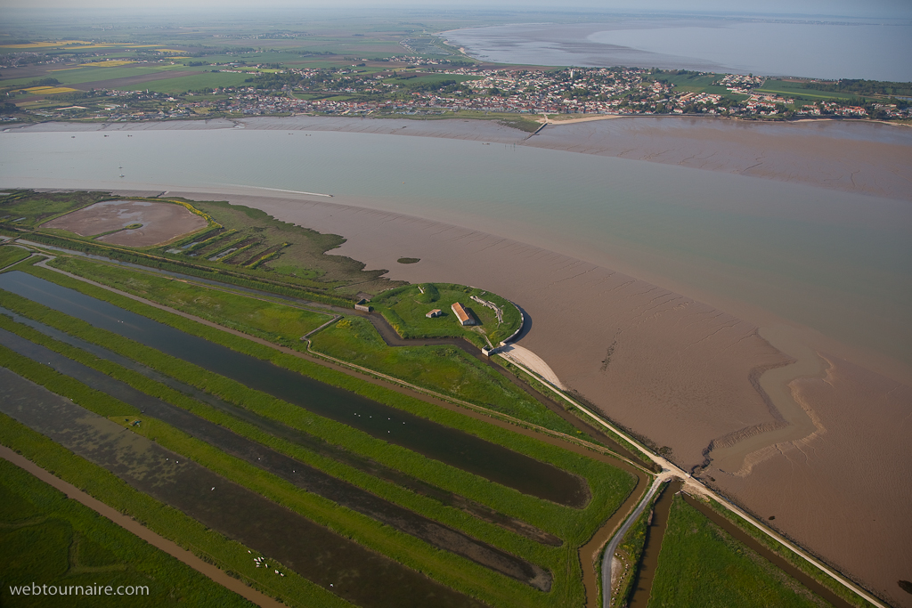 l''embouchure de la Charente